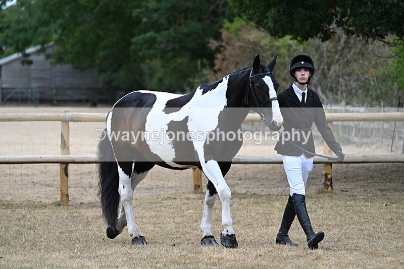 WJ7_8677 - Class 4a Prettiest Mare 14.2hh and over