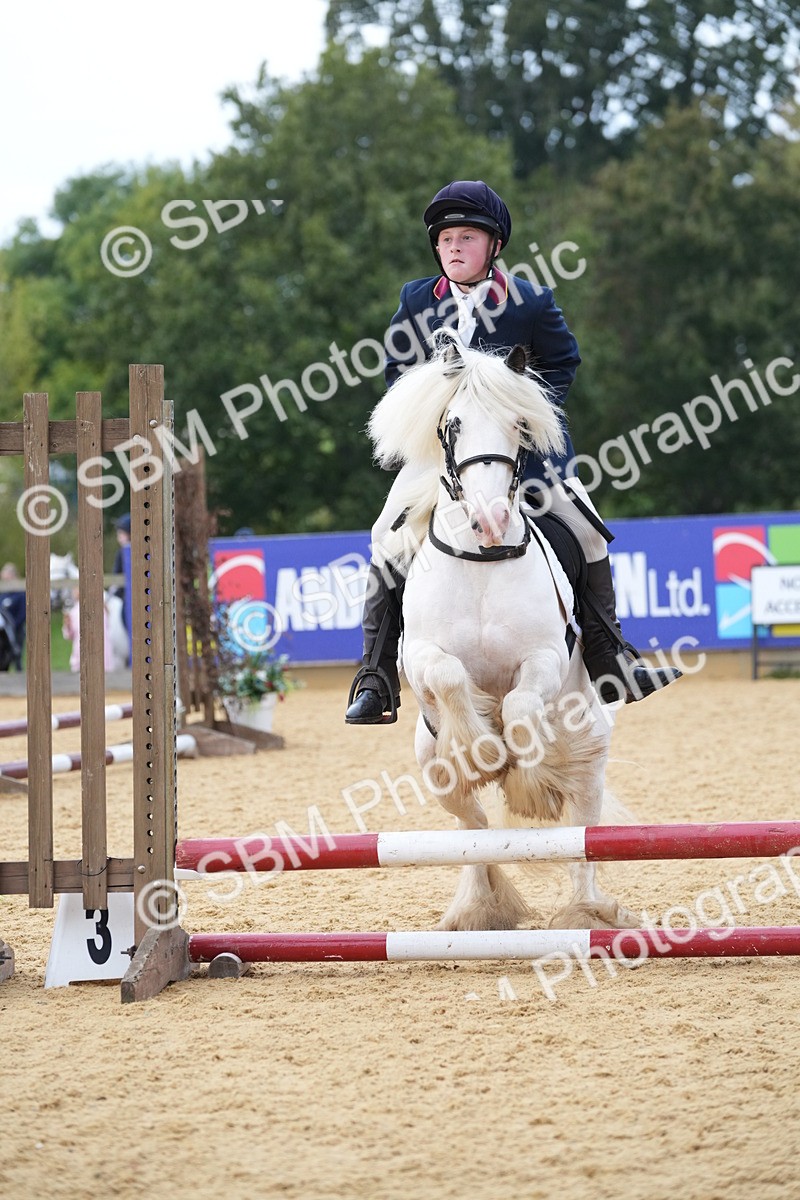 SBM_74882 - J4 - Mini Tour Junior Pony 45cm Championship