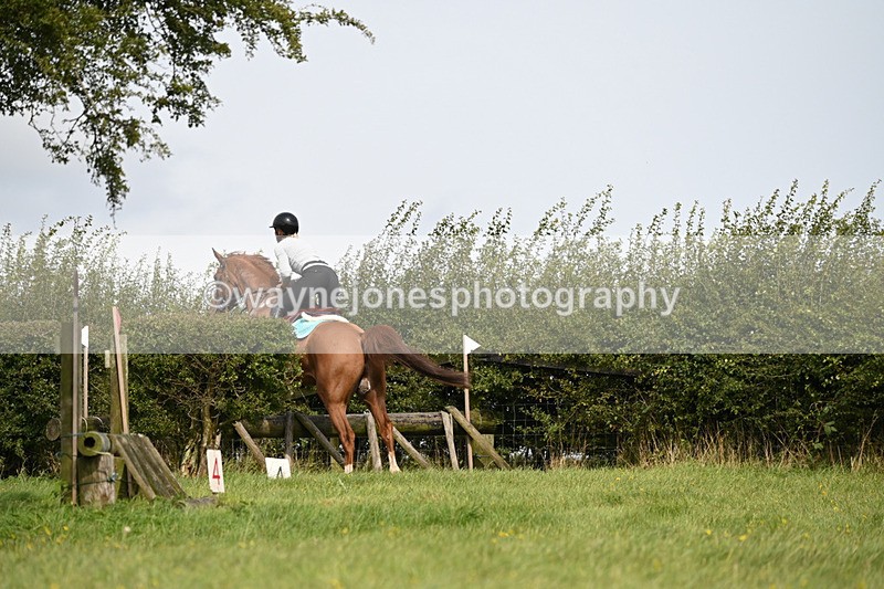 WJ6_9195 - Time 13:21 to 13:29