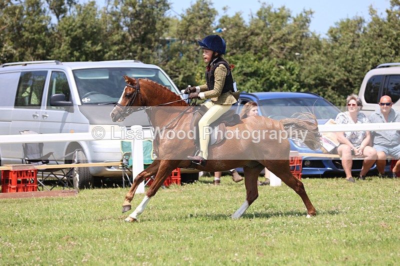 JPP_2519 - Class 21: Working Hunter 60cm