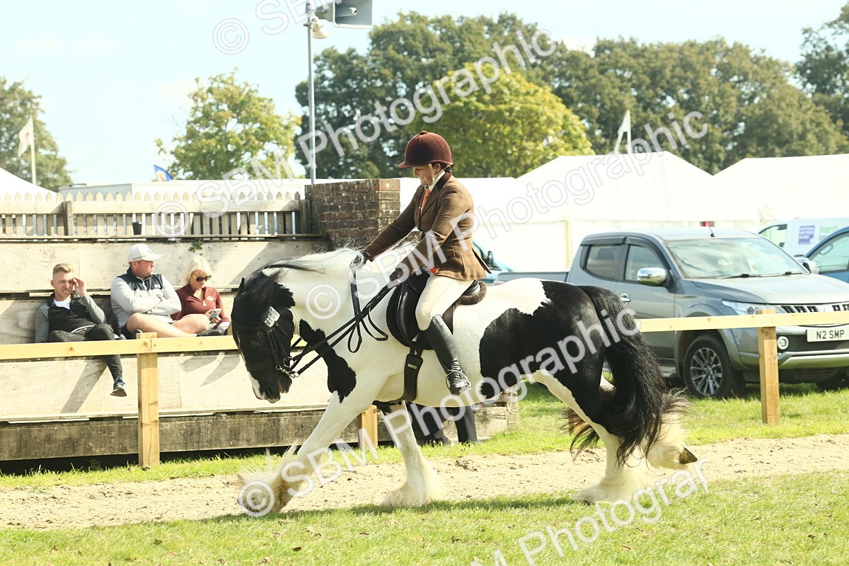 SBM_68797 - S58 - Mini Show Cob Ridden
