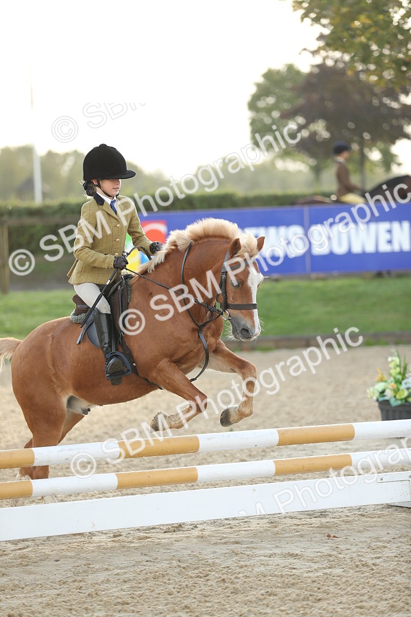 SBM_34145 - J60 Clear Round 50cm