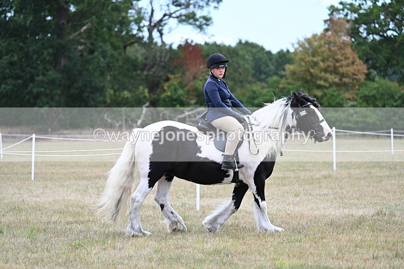 WJ7_4700 - Class 12 Ridden Cob