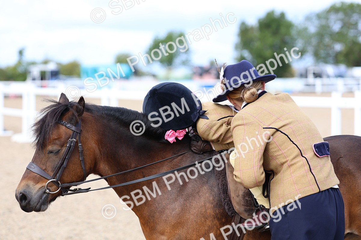 SBM_13083 - Class 309 - Lead Rein Pony