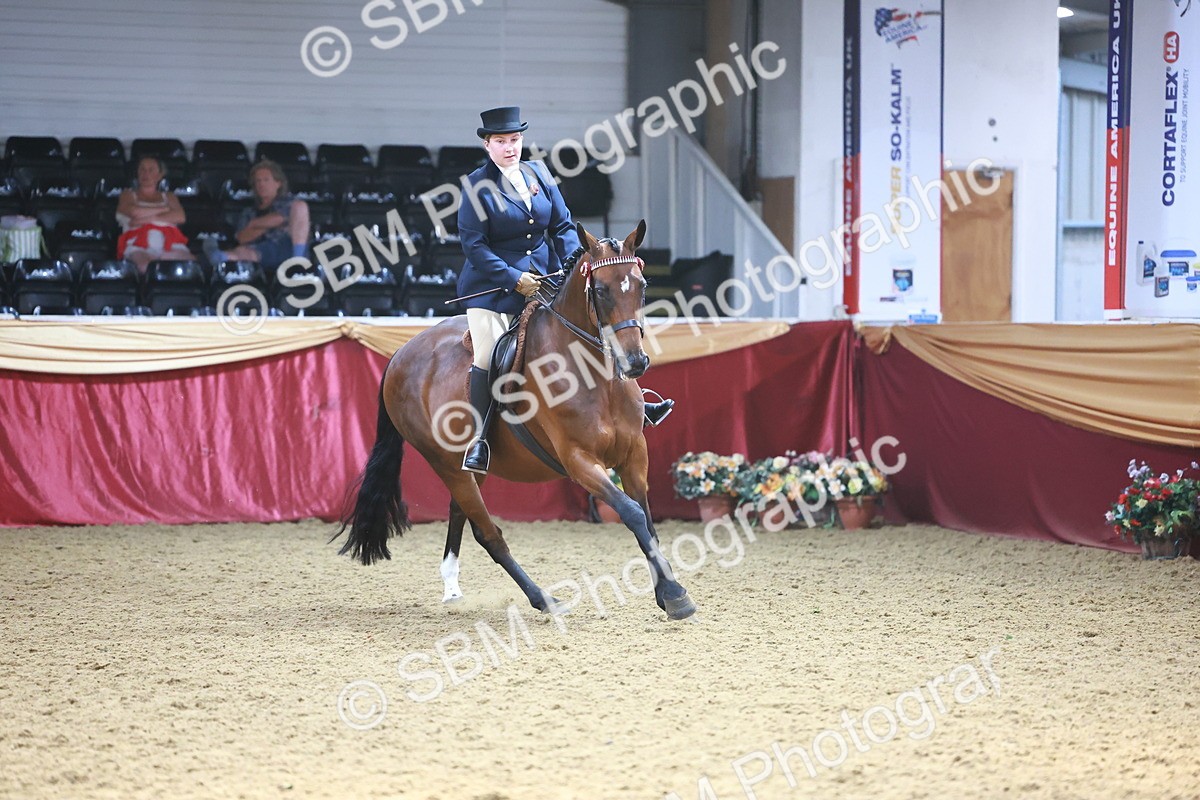 SBM_23356 - class 906 - Supreme Final - Ridden Pre Vet