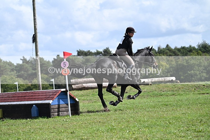 WJ7_2216 - Time 13:17 to 13:53