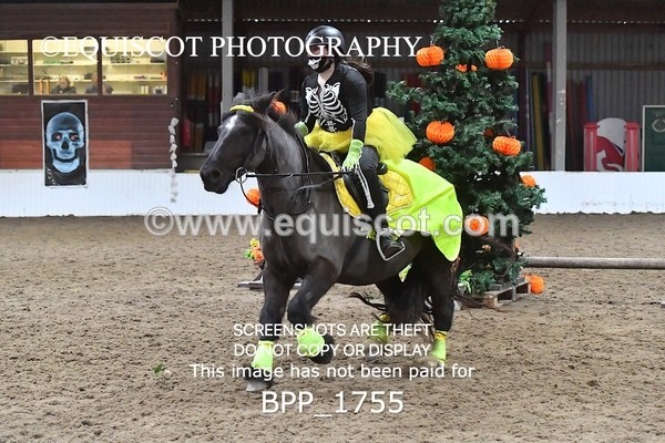 BPP_1755 - CLASS 2 TEAM SJ 40CM