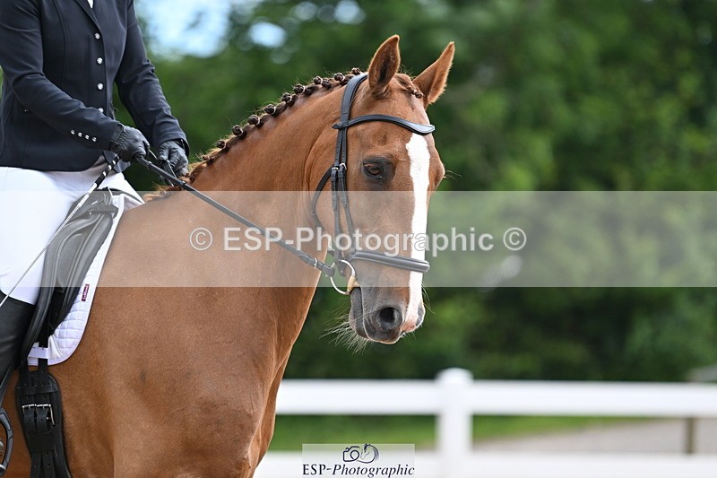 240622A-092143-06770 - Cls 23 BD Prelim 19