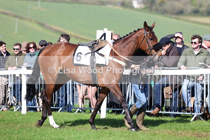 3E7A5578 - Race 6: Maiden (NWFAA)