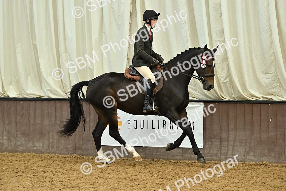 SBM_002055 - Class 23 - BSHA Ridden Show Hunter