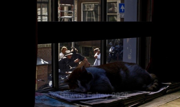  - Amsterdam