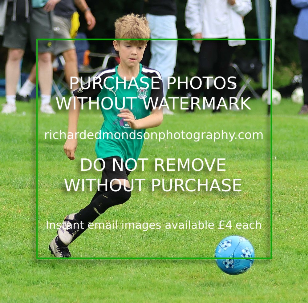 533A7927 - Burton Thistle