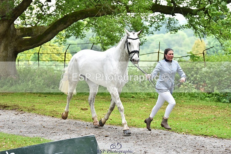 240522-165144-01209 - 225-SLEEHAUN_DANCER-Megan_Lawrence