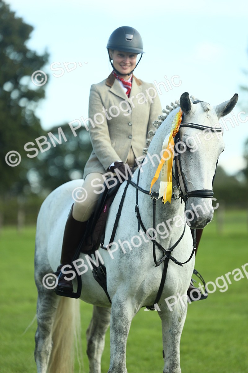 SBM_49952 - S32 - Novice & Newcomers Working Hunter