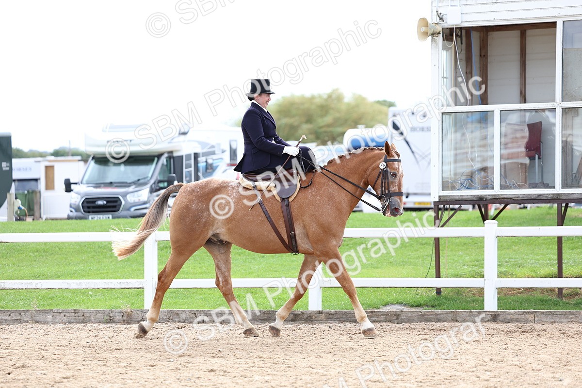 SBM_03388 - Class 24 - SSA Concours d'elegance (any age)