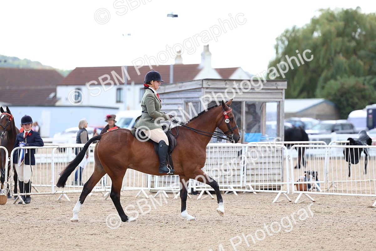 SBM_10097