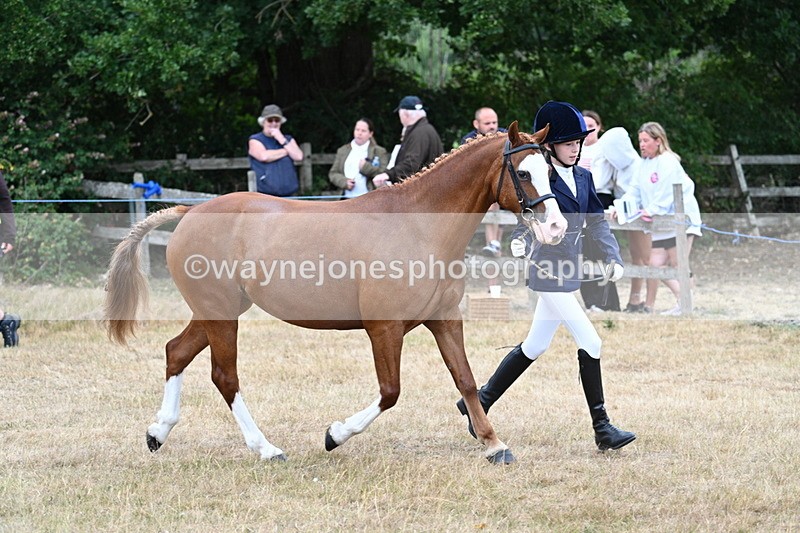 WJ7_8543 - Class 4 Prettiest Mare up to 14.2hh