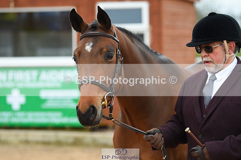 230416A-140808-04746 - Cls 46+43 In Hand Warmbloods and Foreign
