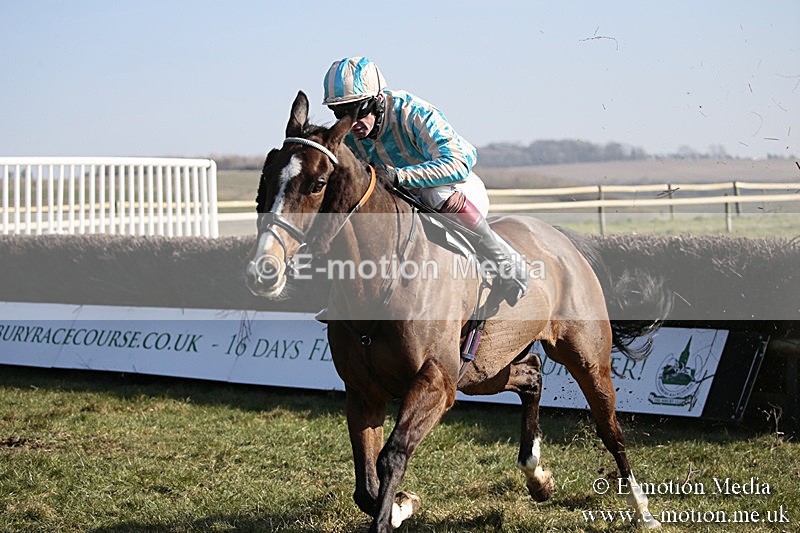 PtP 240218 278 - Vine & Craven Hunt Point-to-Point Barbury racecourse 24/02/18