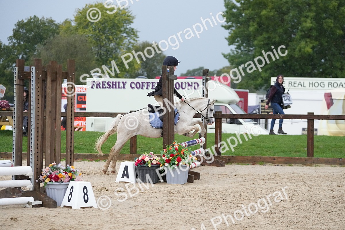 SBM_33899 - J5 - Junior Pony 50cm Championship