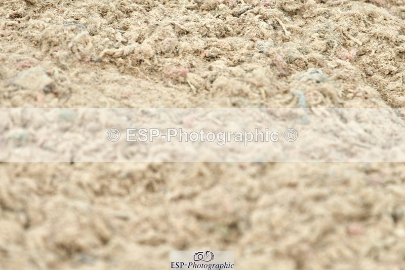 230721A-143633-07004 - Cls 22, 1 Star Gold 1.30m