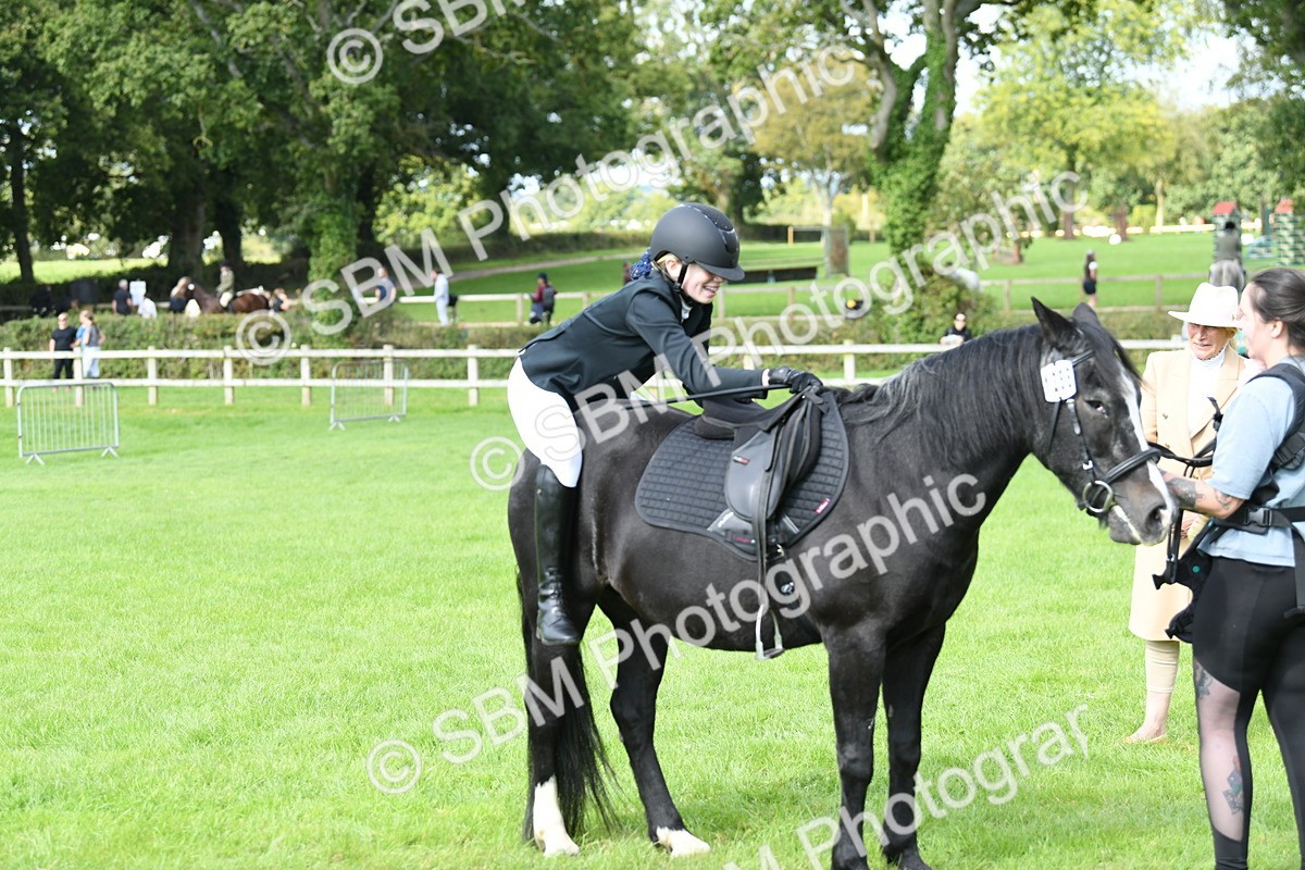 SBM_46844 - S12 - Family Horse & Pony