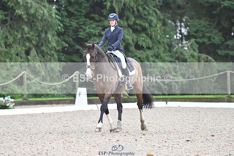 231019-104517-01951 - 103-BEECH.HILL.KIKO.CLOVER-Harriet.Blair-DR