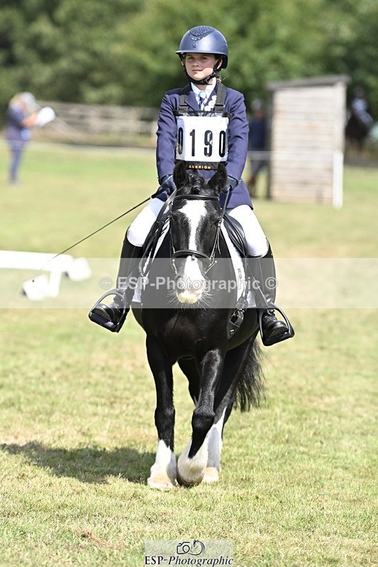 250821A-121622-15483 - DR 11.00 to 12.00