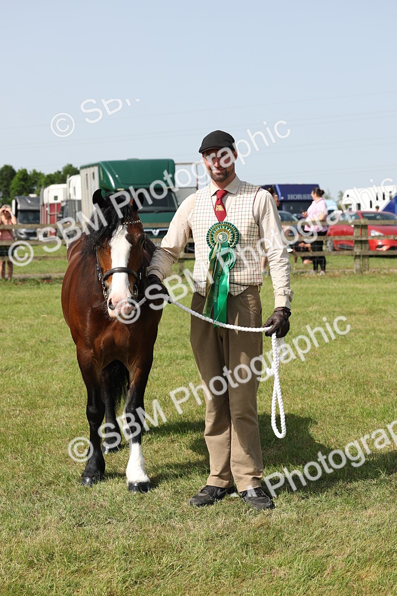 SBM_02174 - Class 6-13 - Mountatin and Moorland In Hand Welsh Breeds