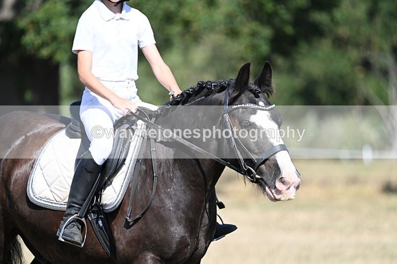 WJ7_9562 - Time 10:32 to 10:55