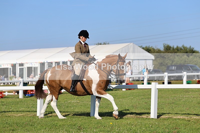 IMG_1419 - Class 29:  Ridden Native/Trad Coloured Horse