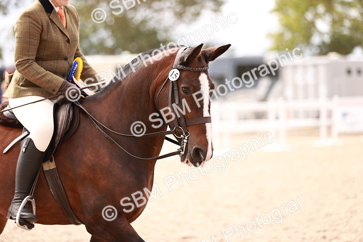 SBM_18279 - Class 416 - Prettiest Mare (IH or Ridden)Jnr