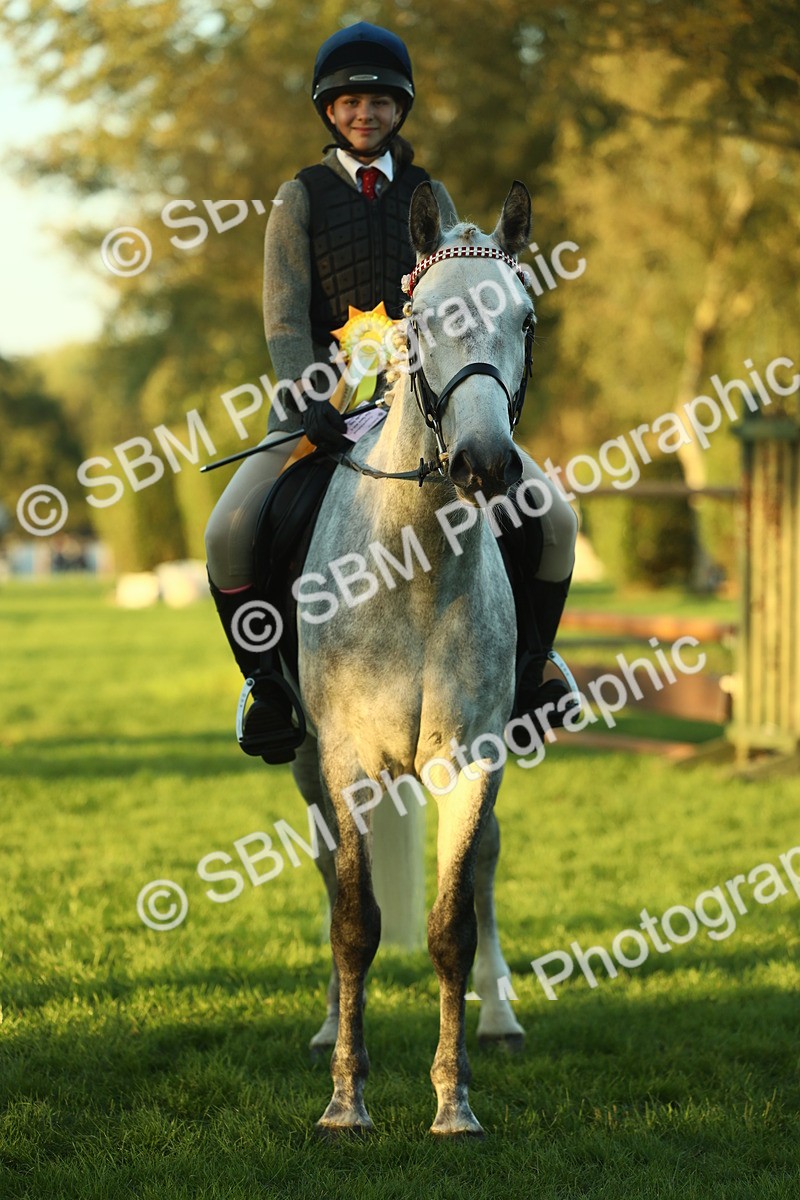 SBM_56542 - S14 - Riding Club Horse