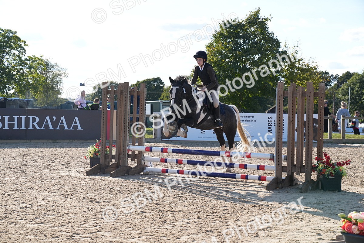 SBM_28026_J43 - Super Speedy Scurry Open - 60cm - Chris Haley