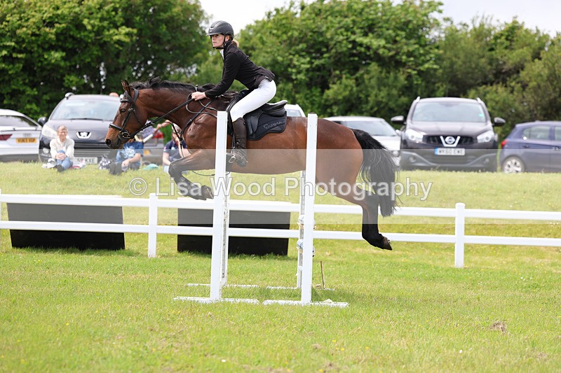 3E7A7263 - Class 13: Senior British Novice/90cm open