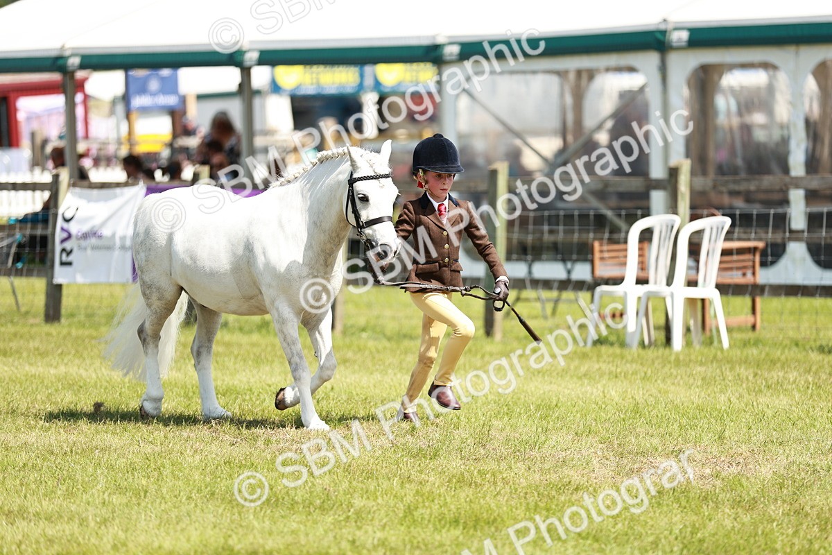 SBM_13579 - Class 108-109 - BSPS LIHS Open Gradle & Nursery Stakes