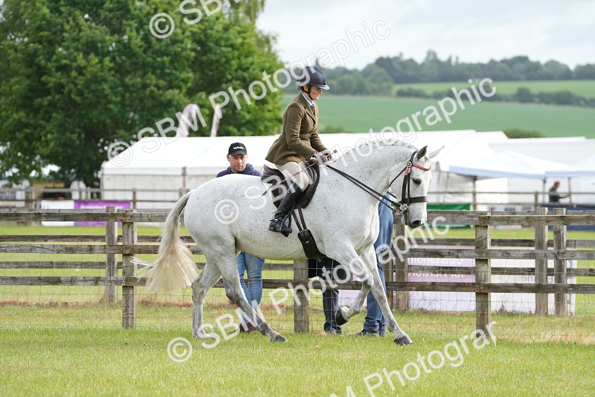 SBM_10578 - Class 97-98 - LIHS BSHA Rising Star Working Show Horse Hunter