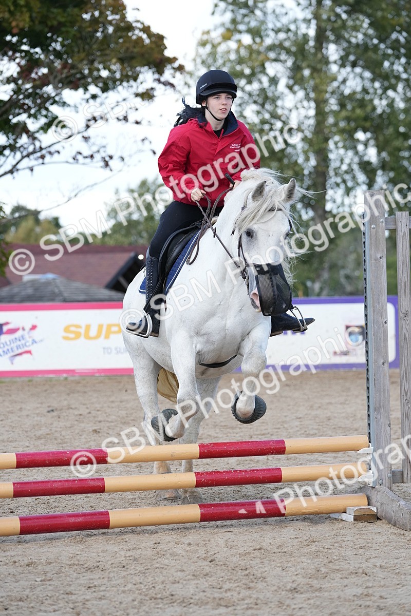 SBM_18098 - J58 - Clear Round 50cm