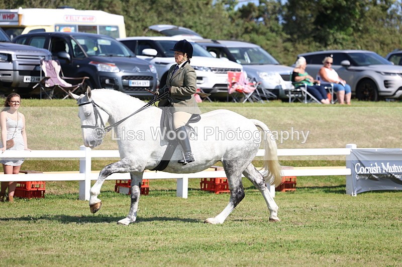 3E7A6460 - Class 4: Rising Star M/H Hunter