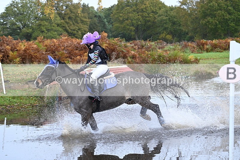 WJ7_9779 - 80cm Cam 2 Water Time 10:24 to 10:44