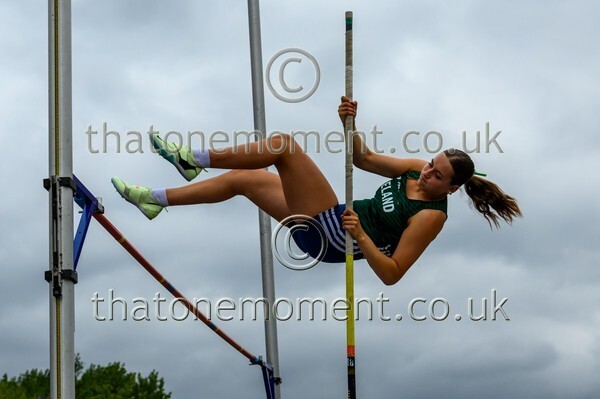 Sen25SUN-917159 - Field Female Set Two