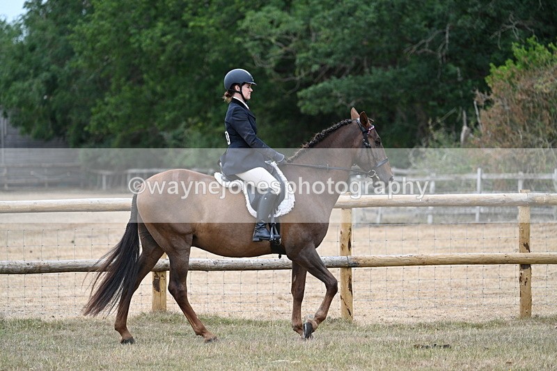 WJ7_0742 - Class 7 Riding Club Show Horse