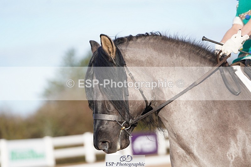 241214-112908-00313 - 117-Janine.Paterson-Pottertonpark.Mulreesh