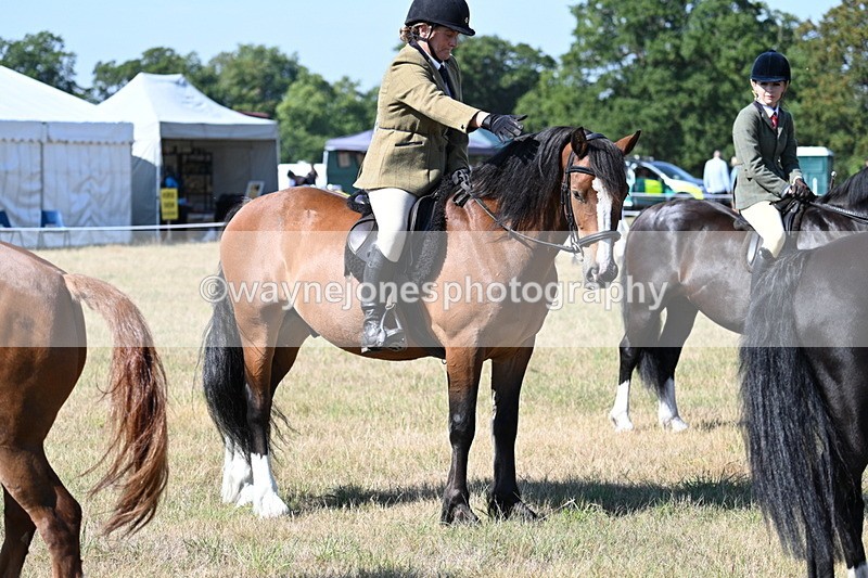 WJ7_3837 - Class 9 Mountain & Moorland Ridden
