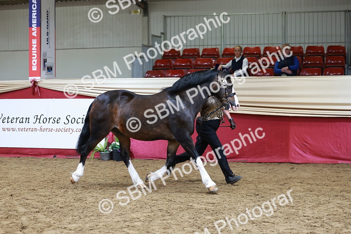 SBM_17416 - Class 951 - M&M IH Supreme Final