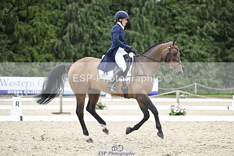 240523-154101-05292 - 439-HILDARE_EASTON_D'ECLIPSE-Danielle_Mccormack