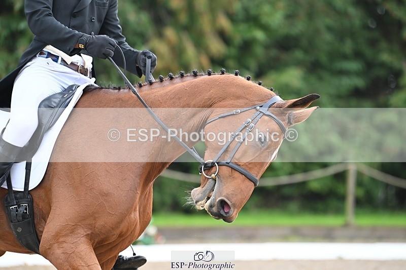 231019-115941-02981 - 111-ACQUA.MARINA.DELLA.CACCIA-Joe.Roome-DR