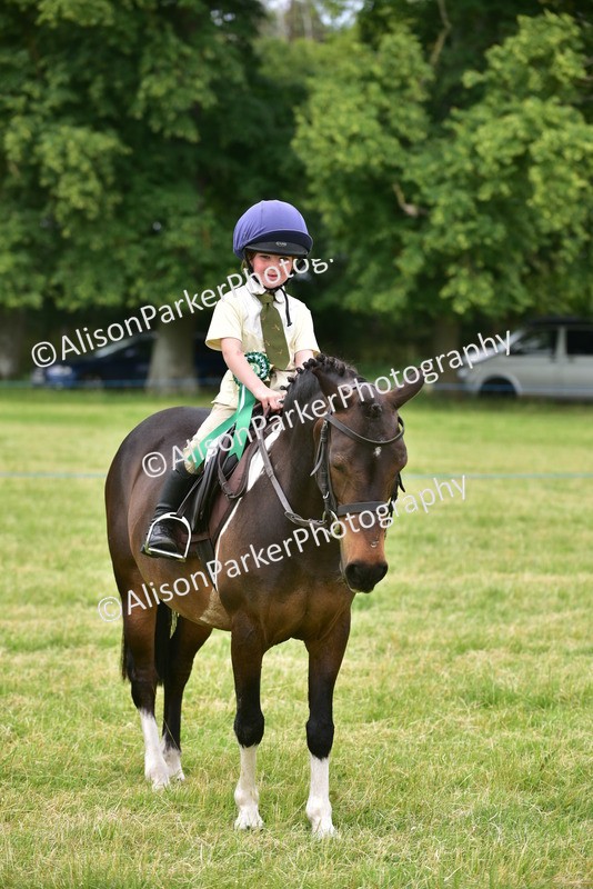 20260614-2713 - Class 13 - Pony Club Pony