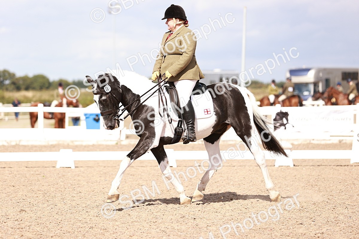 SBM_06604 - Class 39 - Medium 3