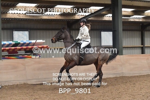 BPP_9801 - CLASS 7  80CM Small Open Show Jumping